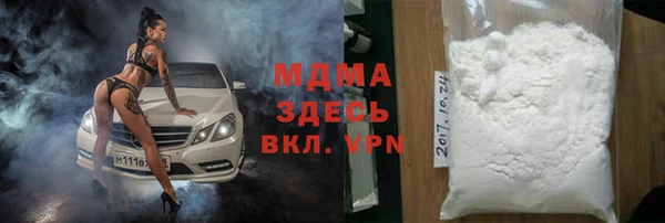 индика Аркадак