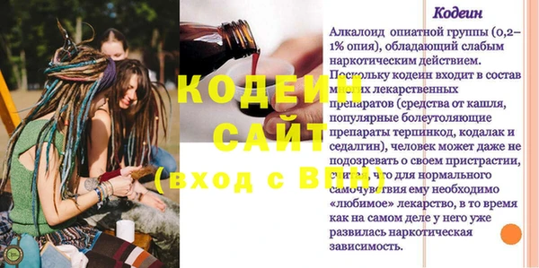 индика Аркадак
