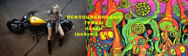 сатива Алзамай