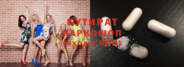 индика Аркадак